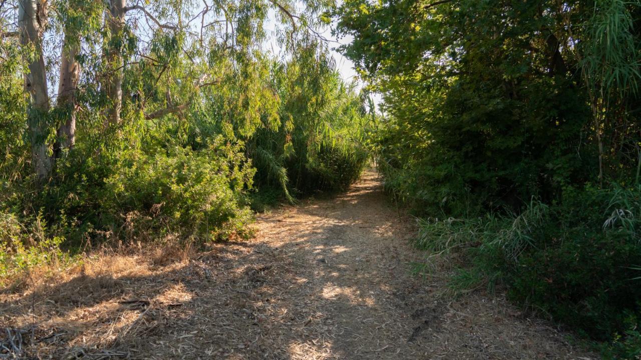 זכארו Goldener Strand 2 מראה חיצוני תמונה